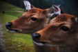Thumbnail img_9425.jpg 