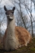 Thumbnail img_8475.jpg 