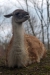 Thumbnail img_8479.jpg 