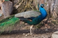 Thumbnail img_8502.jpg 