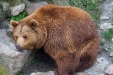 Thumbnail img_8548.jpg 