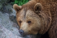 Thumbnail img_8550.jpg 