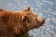 Thumbnail img_8551.jpg 