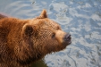 Thumbnail img_8552.jpg 