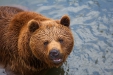 Thumbnail img_8553.jpg 