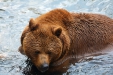 Thumbnail img_8566.jpg 