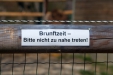 Thumbnail img_8579.jpg 