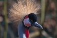 Thumbnail img_8587.jpg 