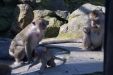 Thumbnail img_8588.jpg 
