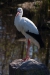 Thumbnail img_8602.jpg 