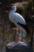 Thumbnail img_8603.jpg 