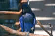 Thumbnail img_8604.jpg 