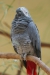 Thumbnail img_8613.jpg 