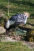 Thumbnail img_8619.jpg 