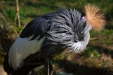 Thumbnail img_8620.jpg 