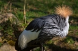 Thumbnail img_8621.jpg 