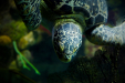 Thumbnail _mg_4679.jpg 