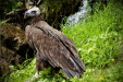 Thumbnail img_5304.jpg 