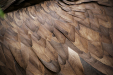 Thumbnail img_5325.jpg 