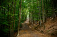Thumbnail _mg_7097.jpg 
