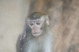Thumbnail img_3306.jpg 