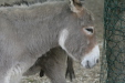 Thumbnail img_3362.jpg 