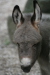 Thumbnail img_3365.jpg 