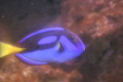 Thumbnail img_3419.jpg 