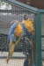 Thumbnail img_3437.jpg 