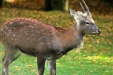 Thumbnail img_6538.jpg 