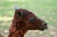 Thumbnail img_6541.jpg 