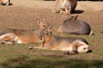 Thumbnail img_6542.jpg 
