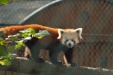 Thumbnail img_6549.jpg 