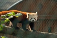 Thumbnail img_6551.jpg 