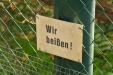 Thumbnail img_6555.jpg 