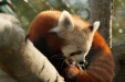 Thumbnail img_6559.jpg 