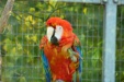 Thumbnail img_6561.jpg 
