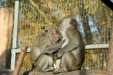 Thumbnail img_6565.jpg 