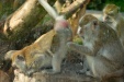 Thumbnail img_6569.jpg 