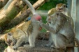 Thumbnail img_6570.jpg 