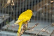 Thumbnail img_6575.jpg 