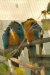 Thumbnail img_6576.jpg 