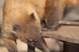 Thumbnail img_6580.jpg 
