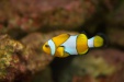 Thumbnail img_6600.jpg 
