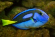 Thumbnail img_6602.jpg 