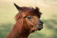 Thumbnail img_6608.jpg 