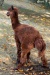 Thumbnail img_6612.jpg 