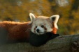 Thumbnail img_6628.jpg 
