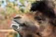 Thumbnail img_6645.jpg 