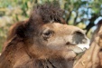 Thumbnail img_6647.jpg 